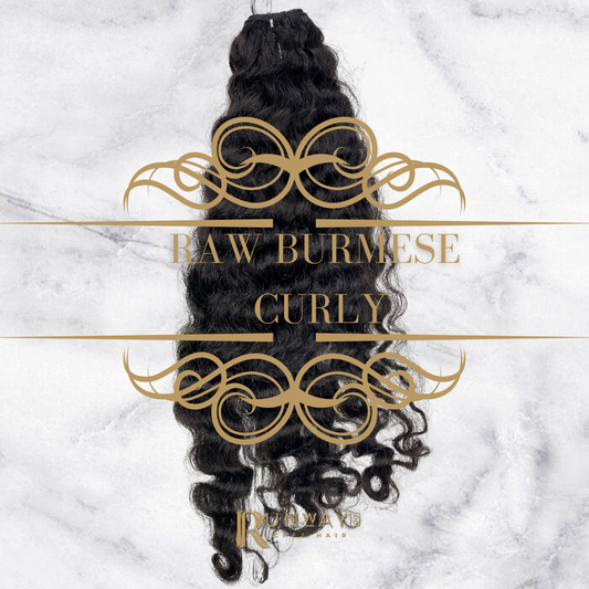 Raw Burmese Curly